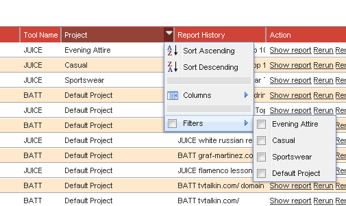 Project Filter Filter function for projects in the Report Overview