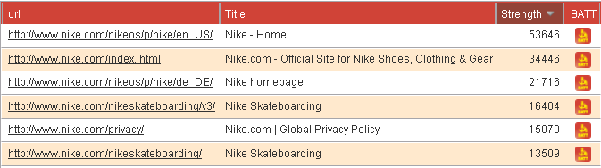SSPT Report for Nike.com