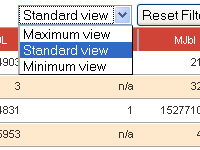 New Report Results View Options