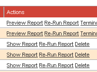 New Report Preview