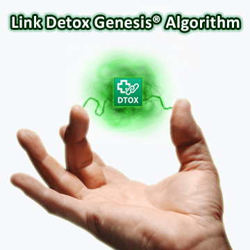 Link Detox Genesis Algorithm