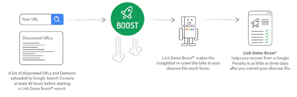 link detox boost how it works