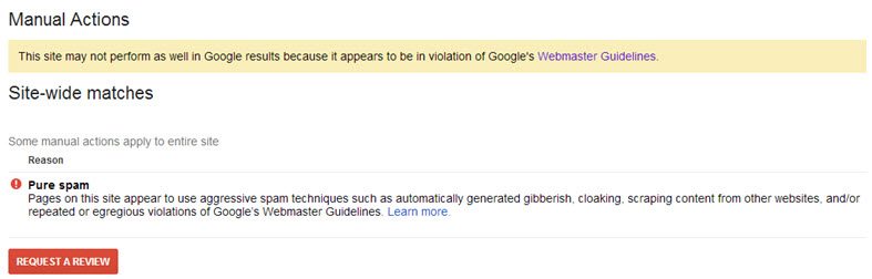 google-manual-action-pure-spam