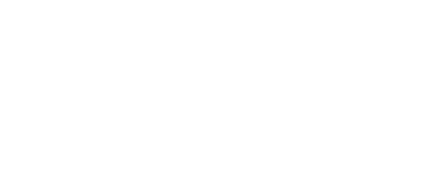 fanatics fanatics